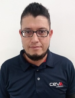Hernandez Hernandez David Josue